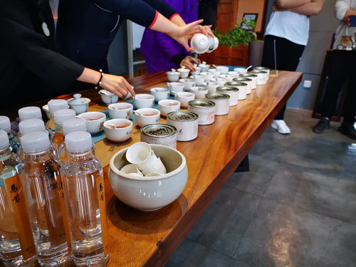 隆沁苑茶業(yè)春天里的第一場盛宴