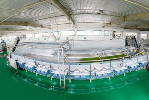 山南茶區(qū)，珍品輩出 宜昌茶產(chǎn)業(yè)介紹