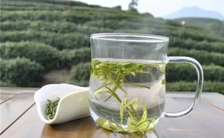 茶商巡禮之大霧山茶業(yè) 以茶為心，以誠(chéng)為葉