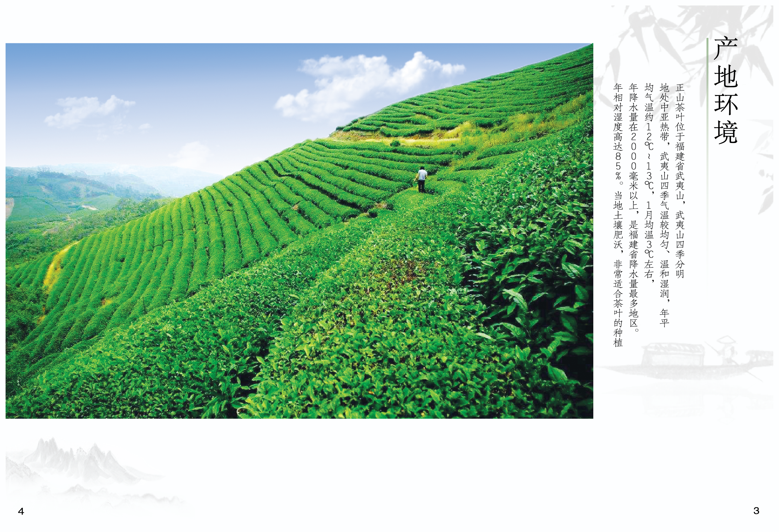 正山堂 一盞茶香，承傳千年